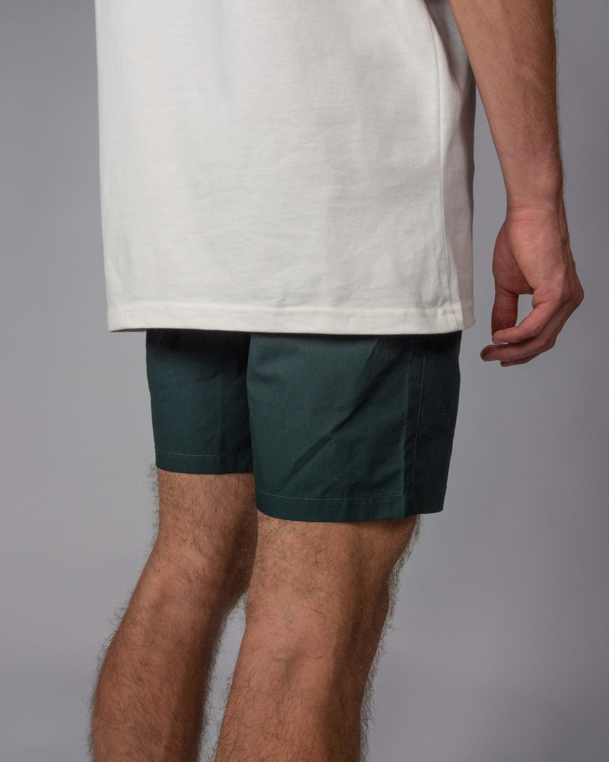 Ryde Beach Shorts Pine