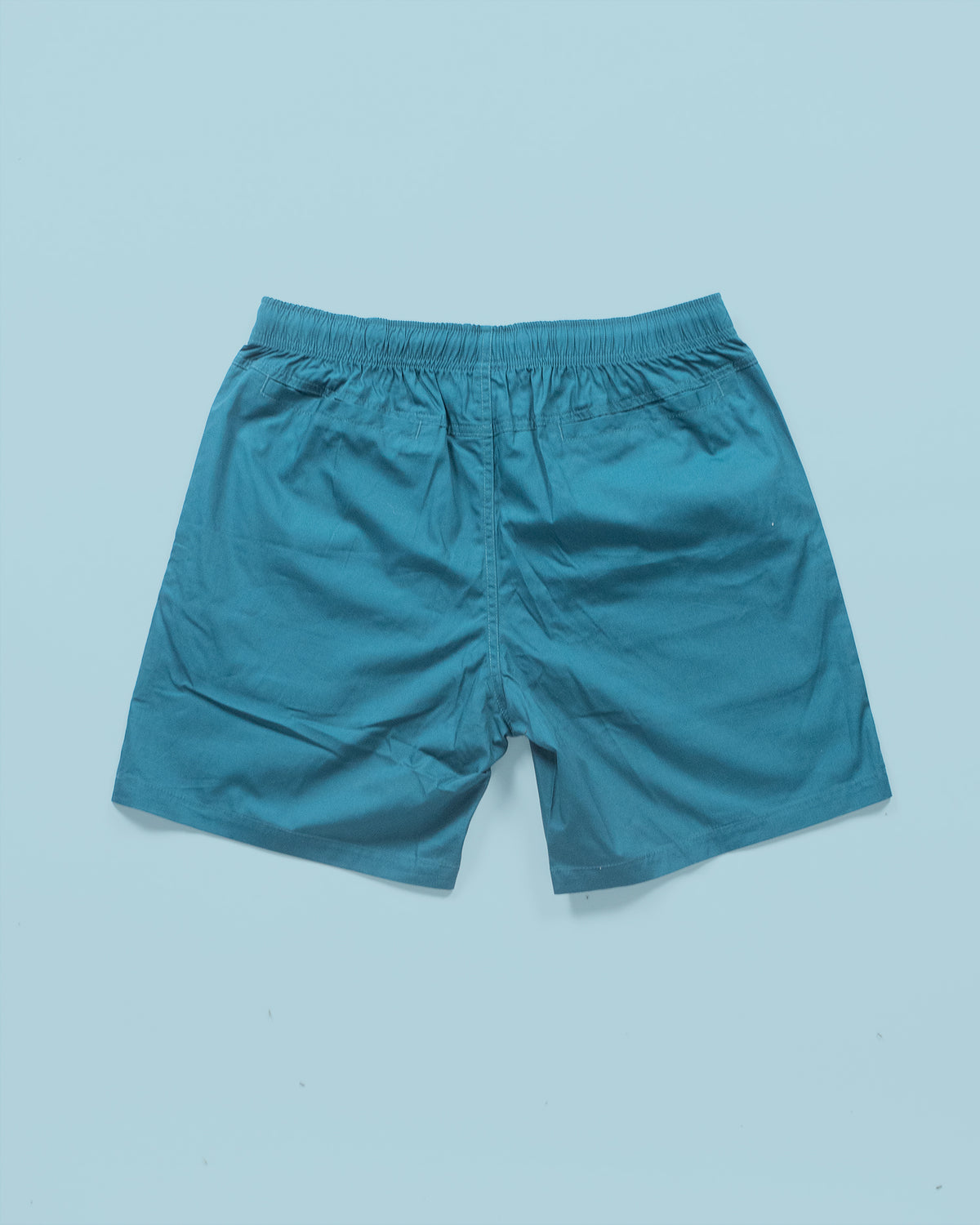 Ryde Company Swim Shorts